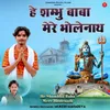 About He Shambhu Baba Mere Bholenath Song